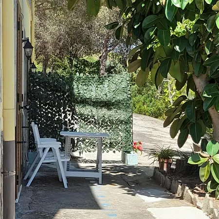 Filomena
